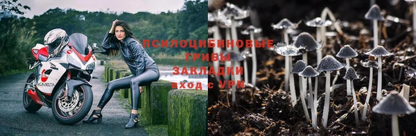 COCAINE Богородицк