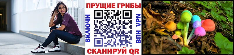 Галлюциногенные грибы Magic Shrooms  Михайлов 